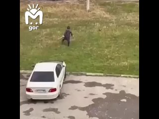 violent resident of grozny beat a puppy with a stick